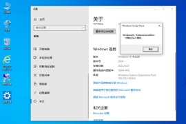 【纯净系统】Win10 2004 19041 X64位 纯净专业版