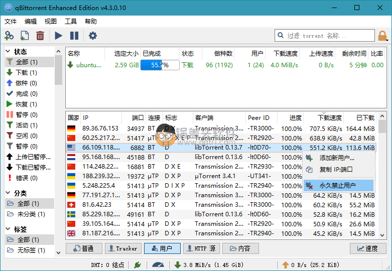 BT下载利器qBittorrent v4.4.2.10 绿色增强版,BT下载利器qBittorrent 4.3.3.10 绿色增强版 BT下载器 第1张,BT下载器,磁力下载器,下载工具,种子下载,迅雷,第1张