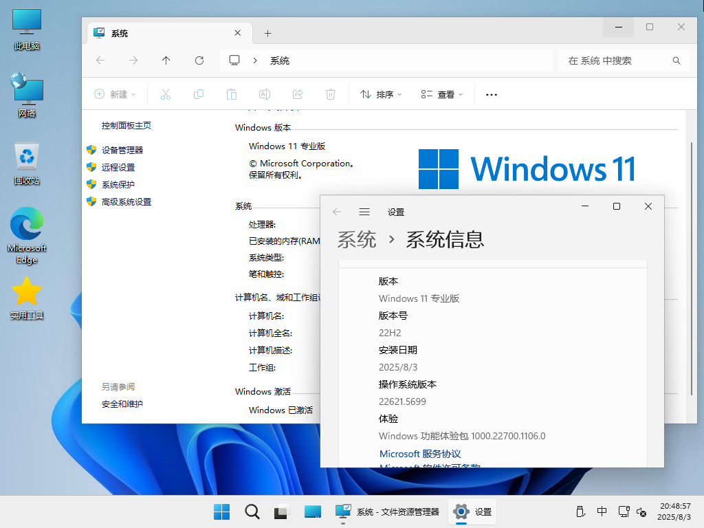 【纯净版系统】22H2 22621 Windows 11 X64位 纯净专业版（25年8月18号更新）,Windows 10 x64-2025-08-03-20-49-01.png,win11,22h2,22621,专业版,纯净版,第3张